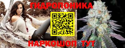 стаф Ликино-Дулёво