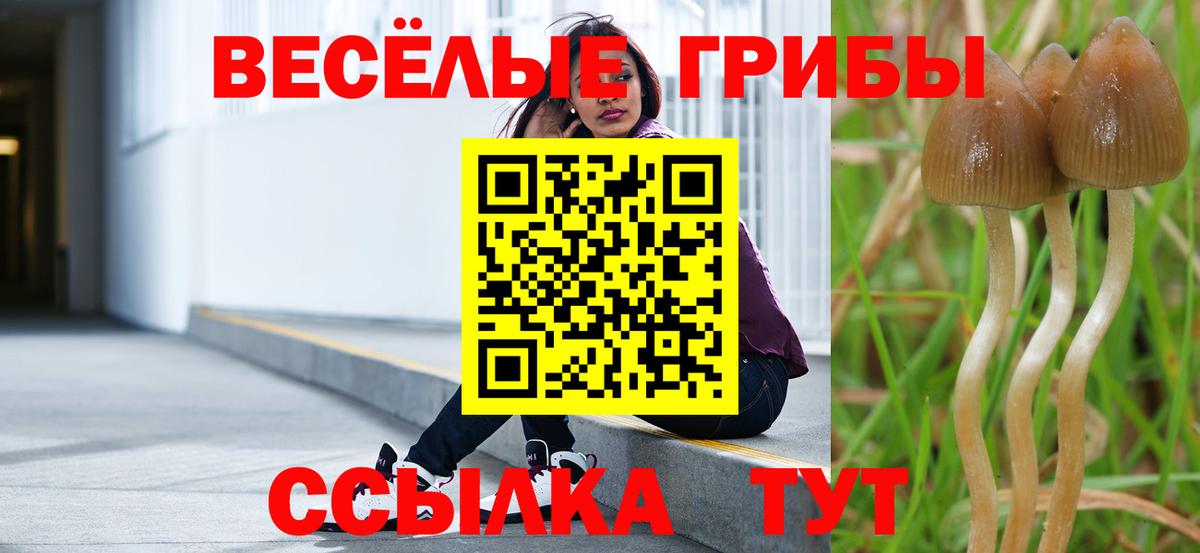 Камышин  Галлюциногенные грибы прущие грибы  купить закладку  Вход с VPN  Галлюциногенные грибы Magic Shrooms 